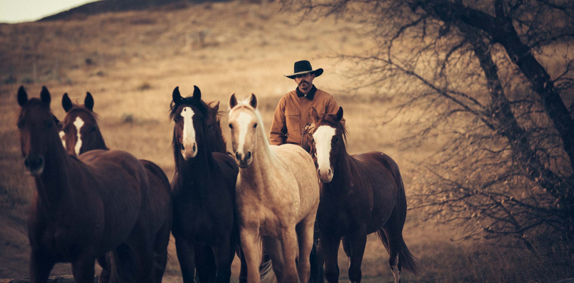 NewCowboy-3